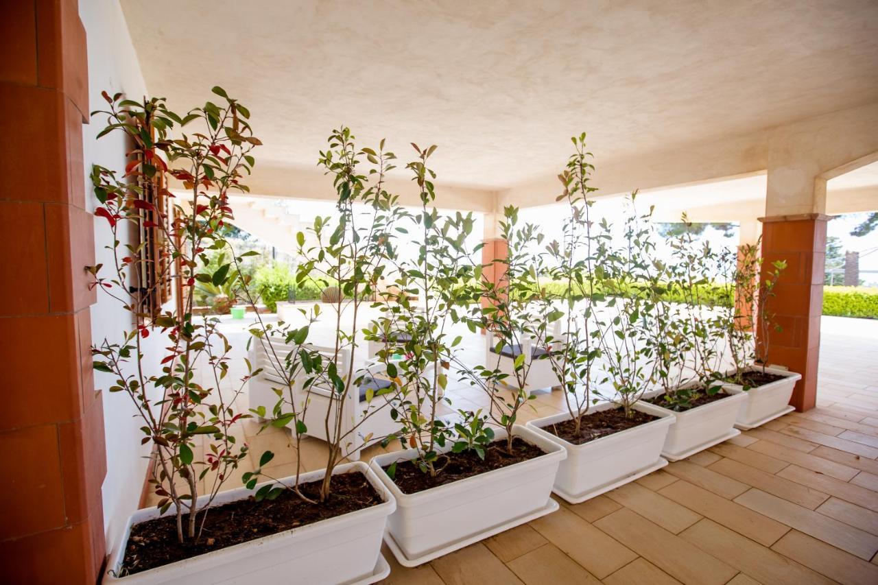 Izzhome Dolce Vita Marina di Ragusa Exteriér fotografie